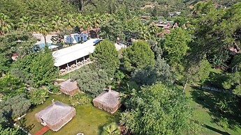 Luna Dorada Hotel