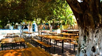 Social Camping JAL