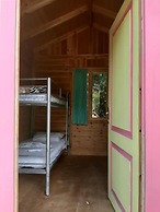 Social Camping JAL