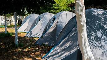 Social Camping JAL