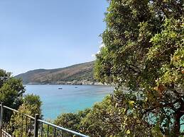 Social Camping JAL