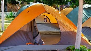 Social Camping JAL