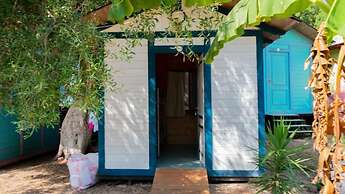 Social Camping JAL