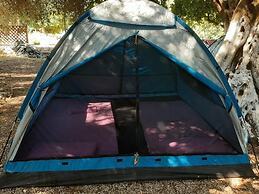 Social Camping JAL