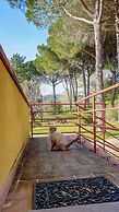 Agriturismo Podere le Tombe