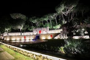 Chateau Du Comte