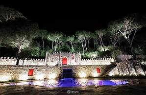 Chateau Du Comte