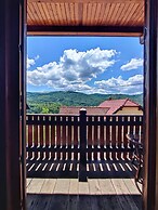Vineyard cottage Kralj