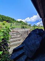 Vineyard cottage Kralj