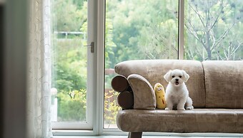 Gapyeong Areuno Pet Pension