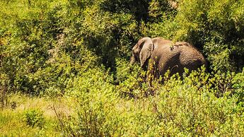 Anabas Mount Kenya Lodge