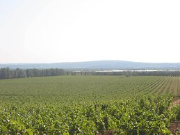 Domaine La Yole Wine Resort