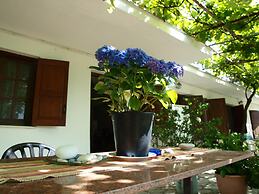 Paradeisos Studio With Garden View