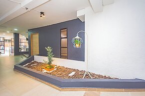 Novus Laureles