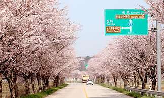 DONGHO BEACH HOTEL