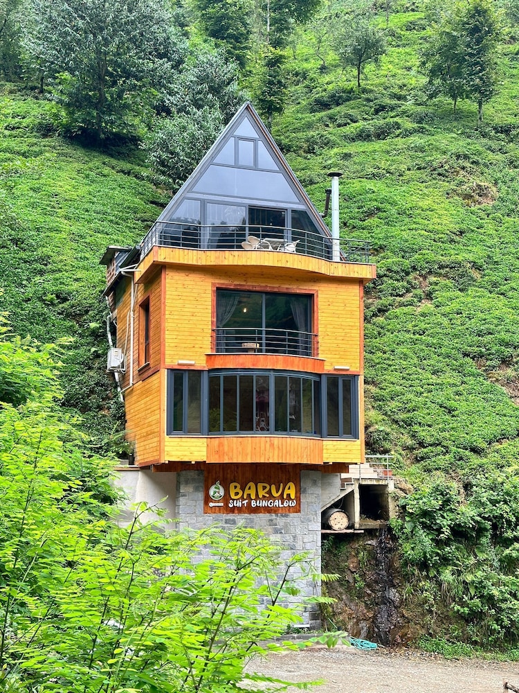 Barva Suit Bungalov