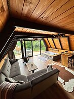 Barva Suit Bungalov