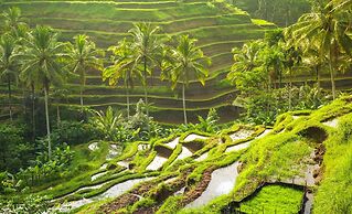 The Iyang Ubud