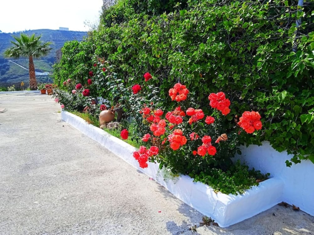 Cortijo Urdiales in Frigiliana