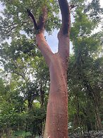 Cozumel Glamping