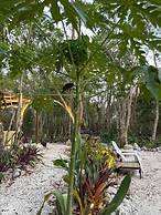 Cozumel Glamping