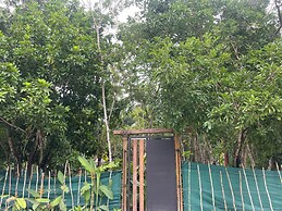 Cozumel Glamping