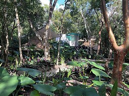 Cozumel Glamping