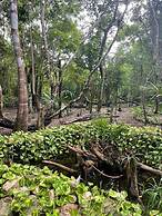 Cozumel Glamping