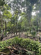 Cozumel Glamping