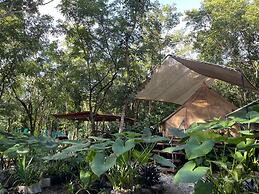 Cozumel Glamping