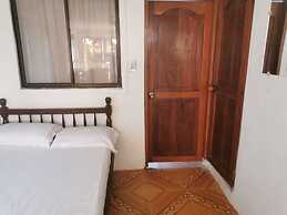 Las acacias Tolu