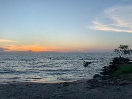 Las acacias Tolu