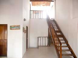 Las acacias Tolu