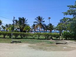Las acacias Tolu