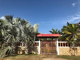 Las acacias Tolu