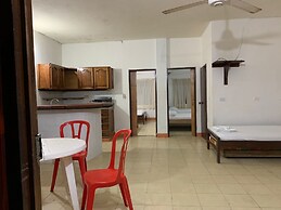 Las acacias Tolu