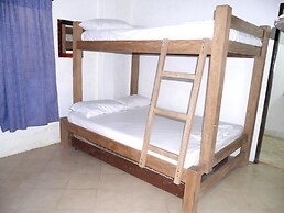 Las acacias Tolu