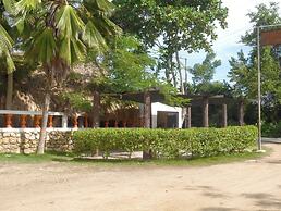 Las acacias Tolu