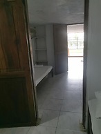 Las acacias Tolu