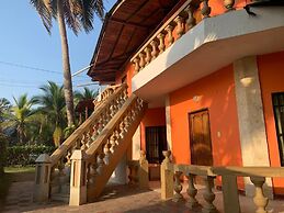 Las acacias Tolu