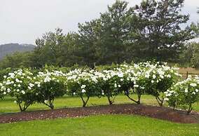 Bluebush Estate