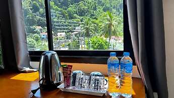 Coco mountain view