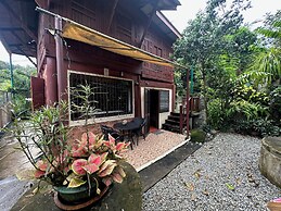 Coco mountain view