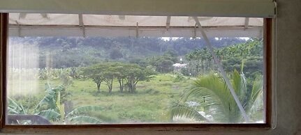 Matsya Island Retreat