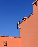 Riad Lemzya