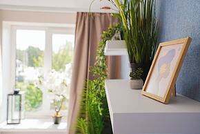 Cofy Rentals Tartu