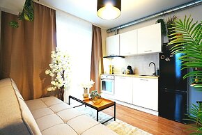 Cofy Rentals Tartu