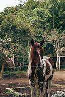 Luna Glamping Salento