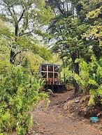 Rincon del Bosque