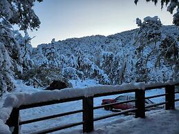 Rincon del Bosque